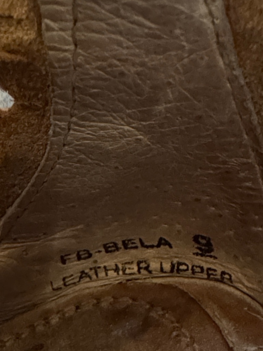 Freebirds Bela - Picture 6 of 7